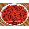 100% Natur-organisches Goji-Frucht-Auszug-Pulver-Massen-Lycium Barbarum-Polysaccharide